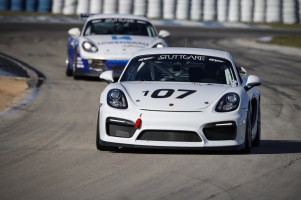 international-gt-sebring-2016-Blakely-045