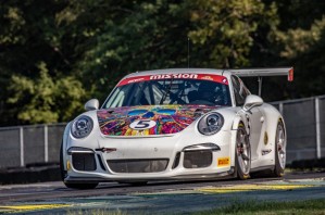 igt-VIR-2018-02