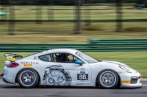 IGT-VIR-2020-13