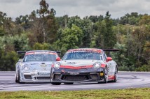 IGT-VIR-2020-17