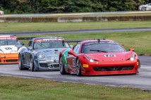 IGT-VIR-2020-19