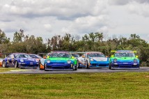 IGT-VIR-2020-24