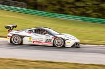 IGT-VIR-2020-26