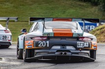 IGT-VIR-2020-28