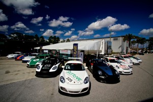 Stuttgart-Cup-PalmBeach-2014-g-16