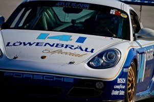 Stuttgart-Cup-PalmBeach-2014-g-24