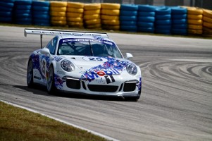 Stuttgart-Cup-Homestead-2015-g-06